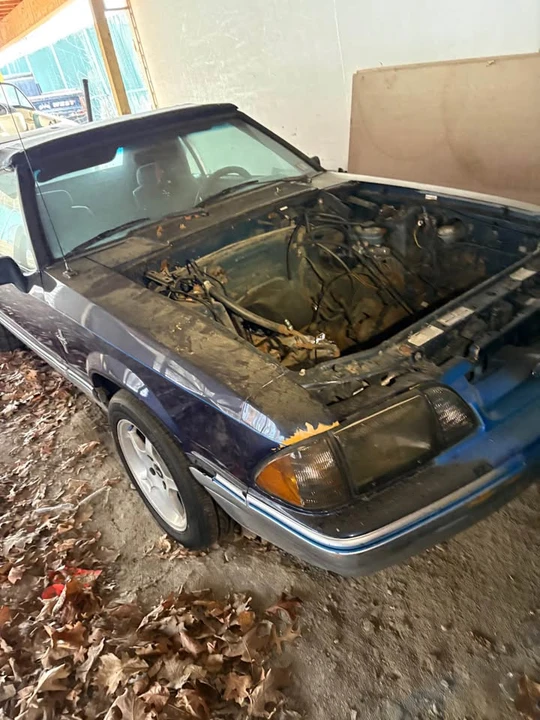 1986 Ford Mustang GT 3rd Gen - Image 6 of 17