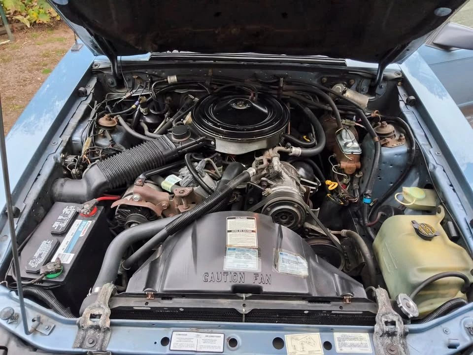 1986 Ford Mustang 3rd Gen - Image 3 of 10