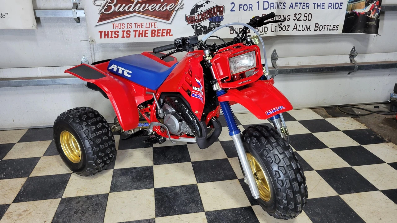 1986 Honda ATV - Image 19 of 31