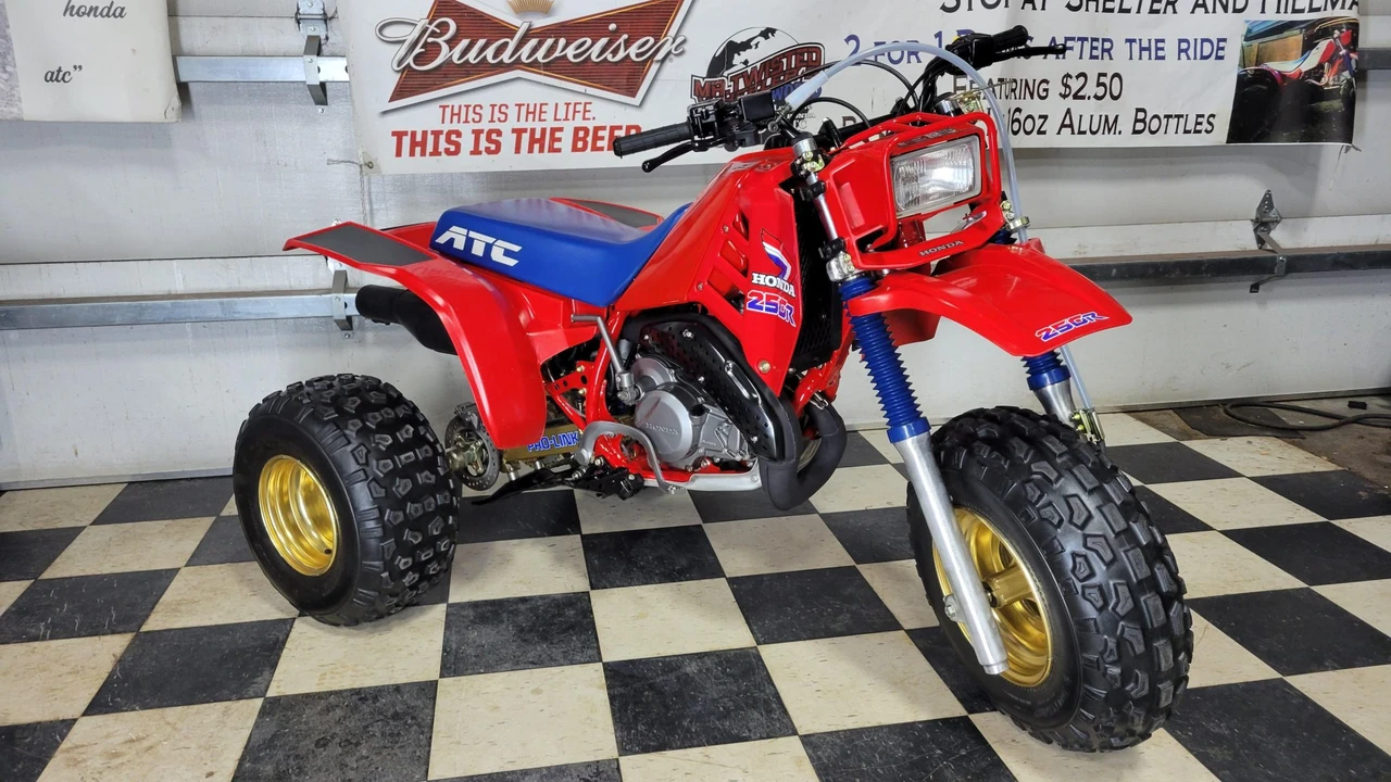 1986 Honda ATV - Image 14 of 31