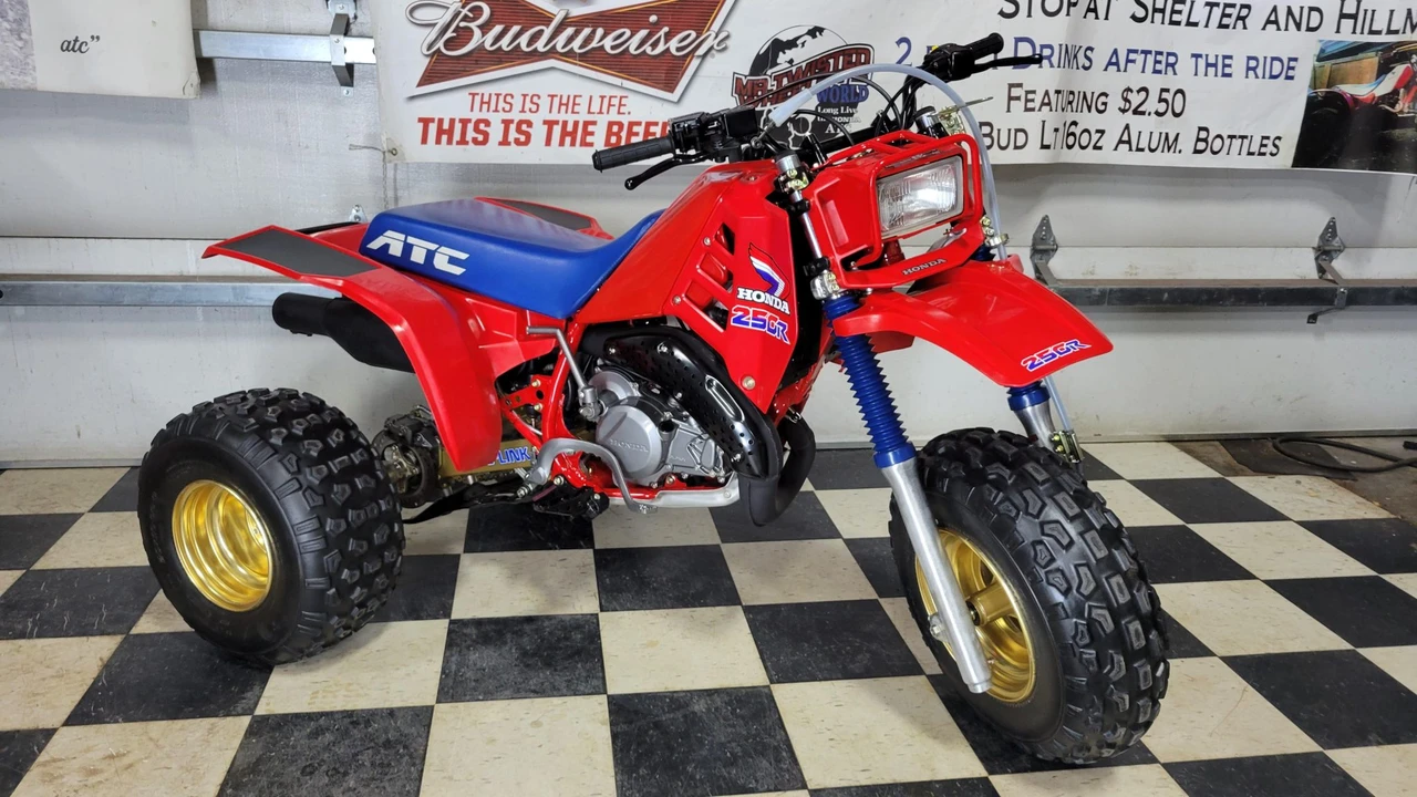 1986 Honda ATV - Image 13 of 31