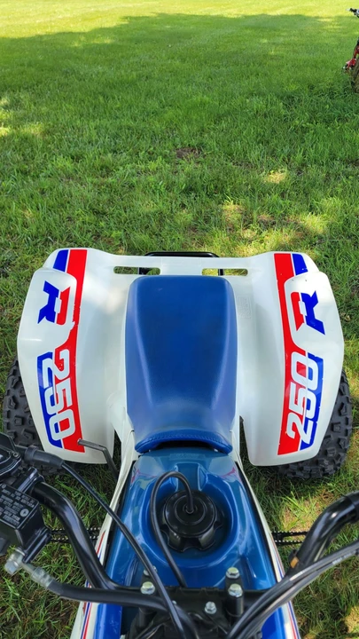 1986 Honda ATV - Image 13 of 31