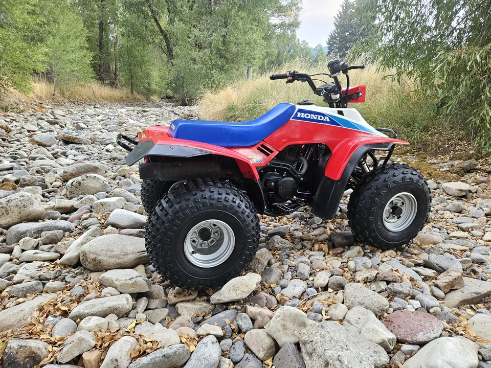 1986 Honda ATV - Image 9 of 31