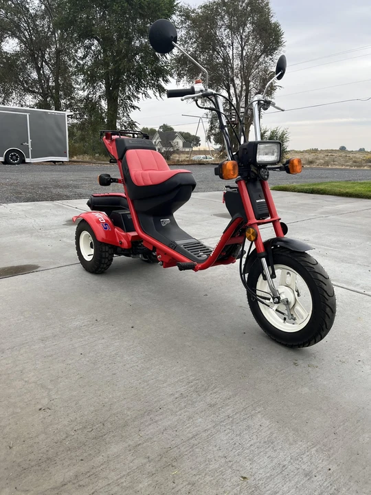 1986 Honda Mopeds - Image 2 of 29