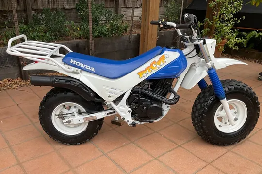 1986 Honda TR200 Fat Cat