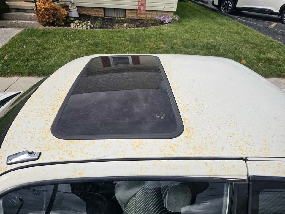 1986 Honda Prelude 2nd Gen - Image 4 of 7