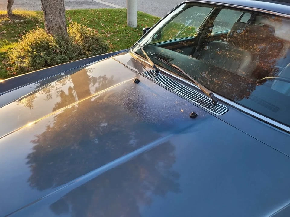 1986 Jaguar XJ Series 3 - Image 5 of 10
