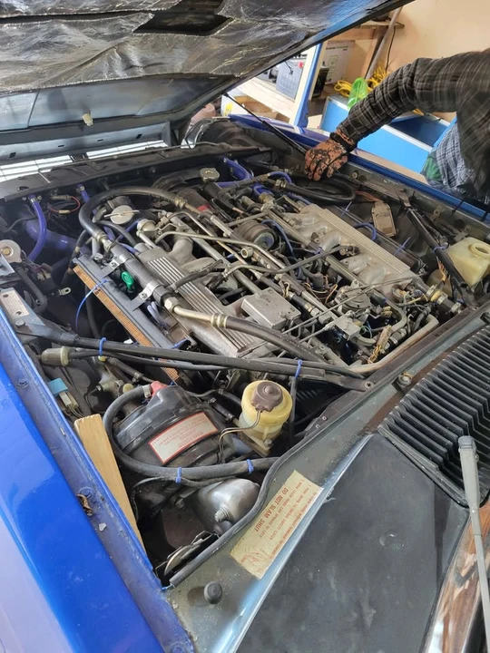 1986 Jaguar XJS - Image 10 of 13