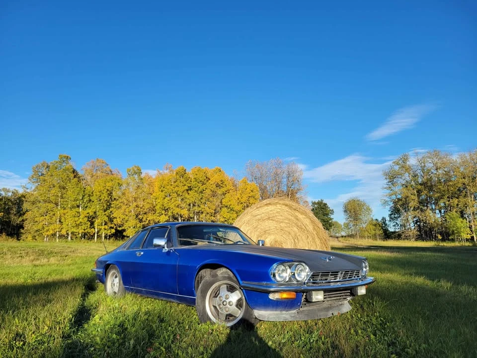 1986 Jaguar XJS - Image 2 of 13