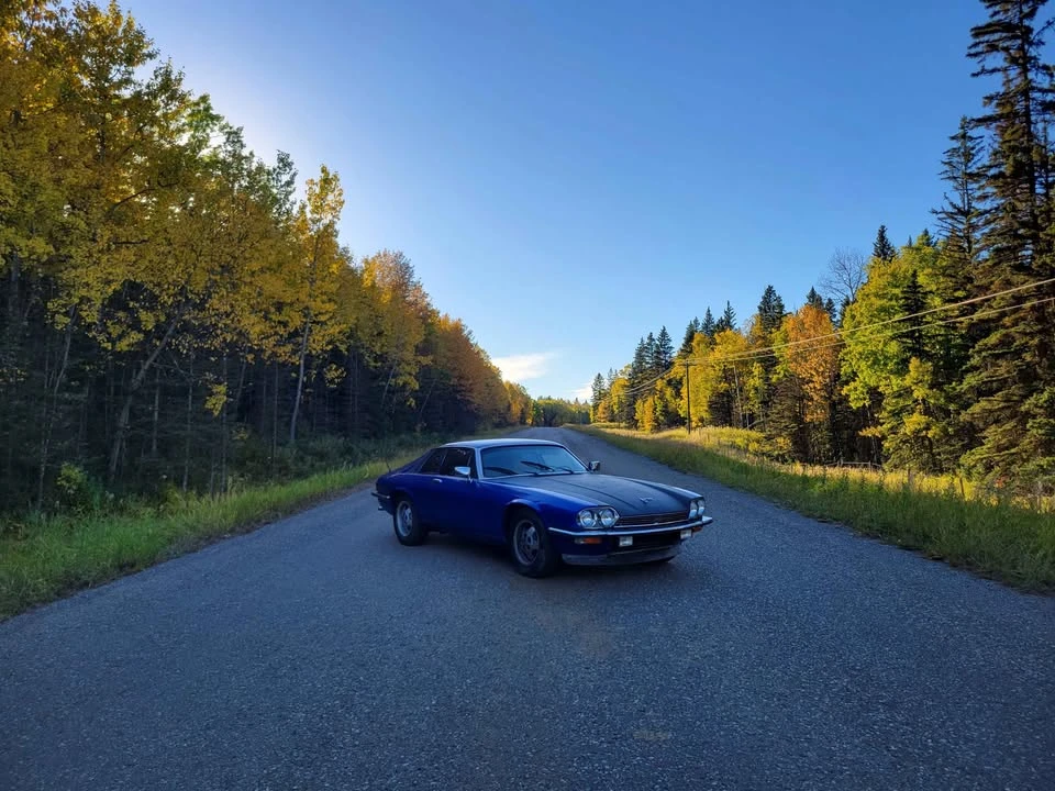 1986 Jaguar XJS - Image 7 of 13