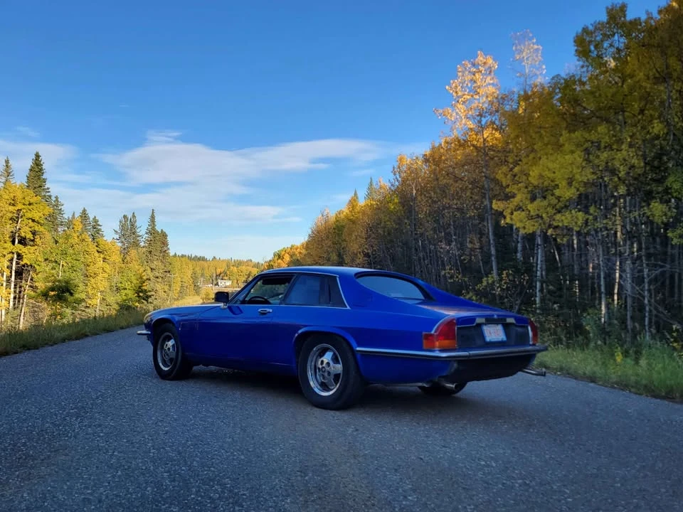 1986 Jaguar XJS - Image 6 of 13