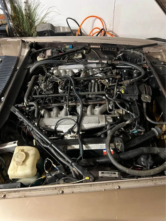 1986 Jaguar XJ Series 3 - Image 4 of 13