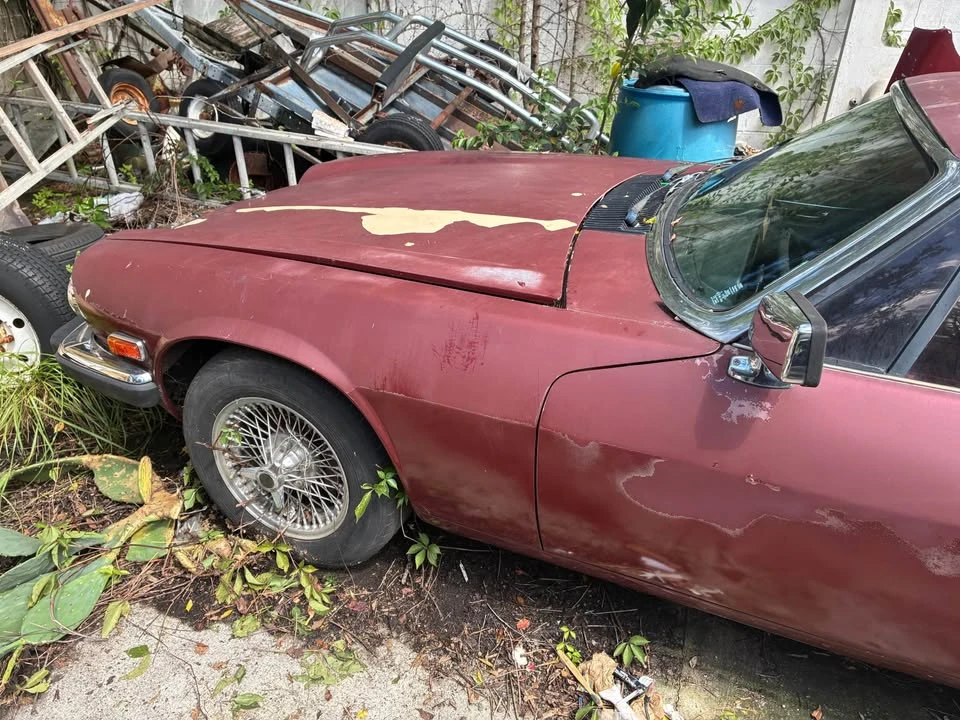 1986 Jaguar XJS Pre-Facelift V12 - Image 8 of 9