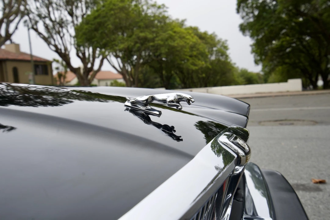 1986 Jaguar XJ Series 3 - Image 11 of 20