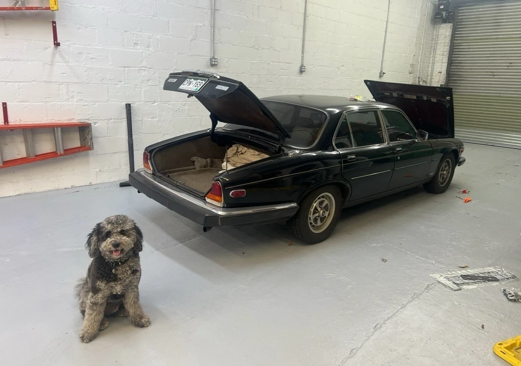 1986 Jaguar XJ Series 3 - Image 2 of 9