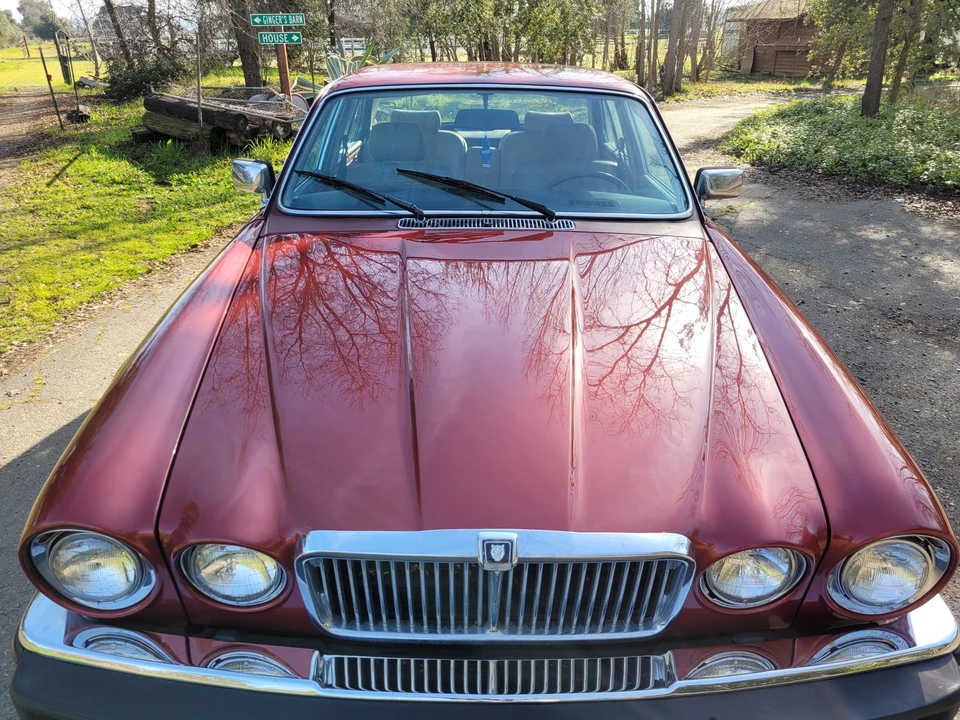1986 Jaguar XJ Series 3 - Image 8 of 31