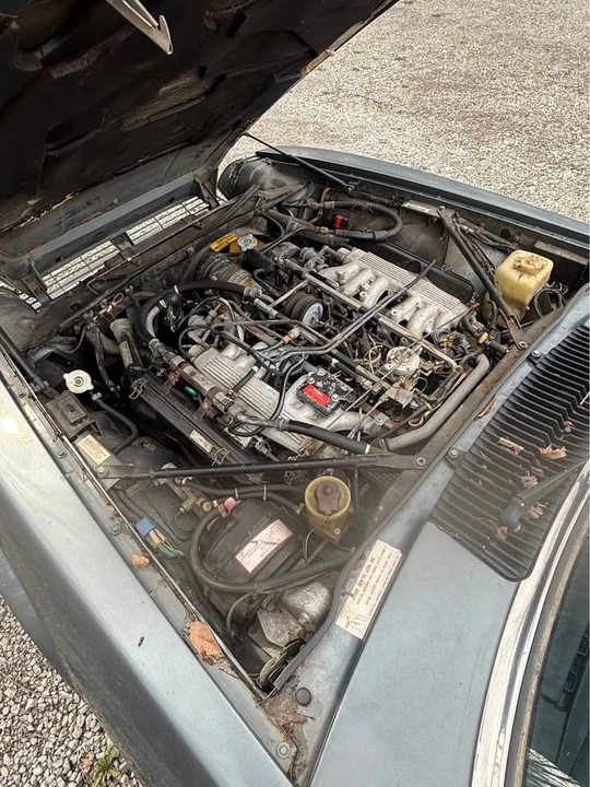 1986 Jaguar XJS - Image 6 of 7