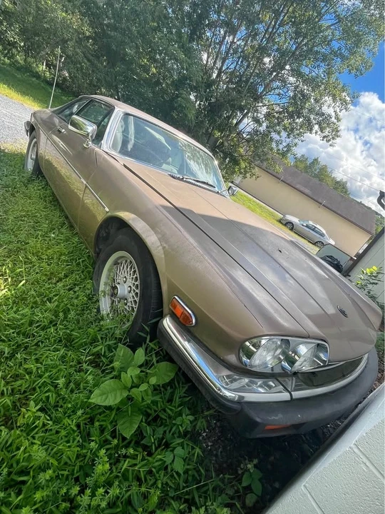 1986 Jaguar XJS - Image 2 of 9