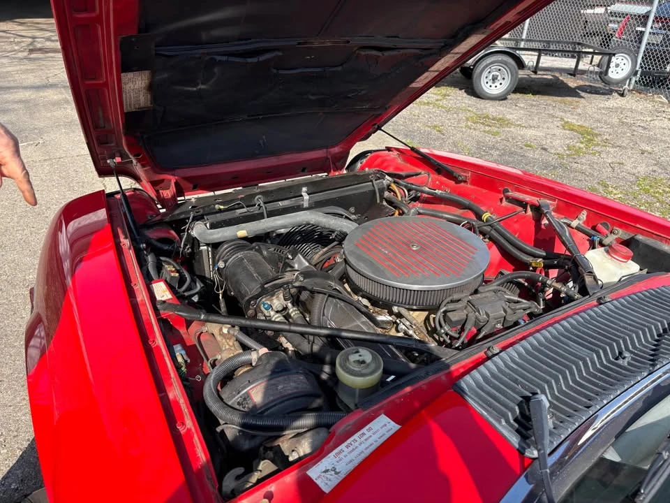 1986 Jaguar XJS - Image 5 of 17