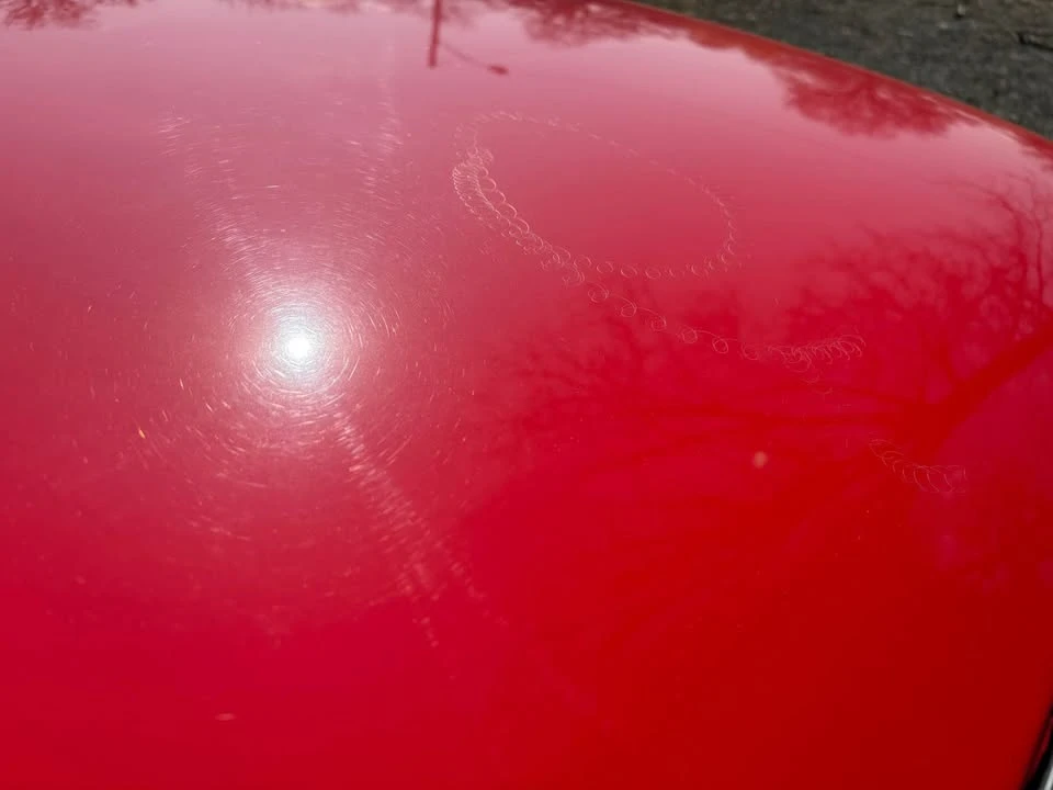 1986 Jaguar XJS - Image 11 of 17