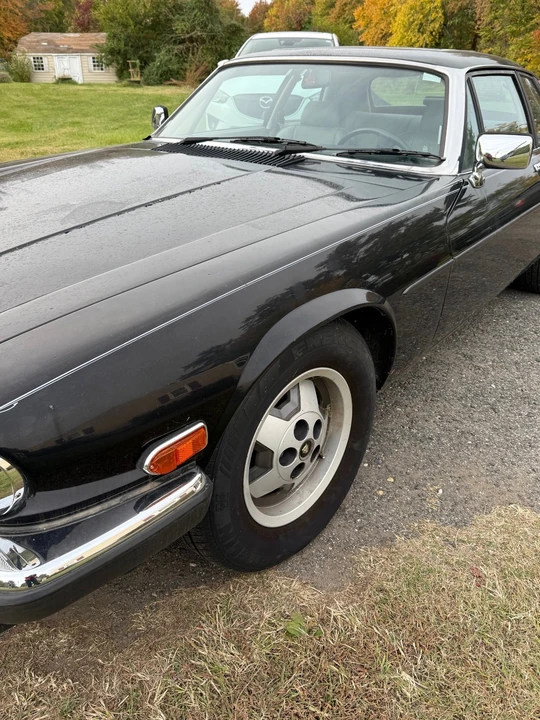 1986 Jaguar XJS - Image 10 of 20