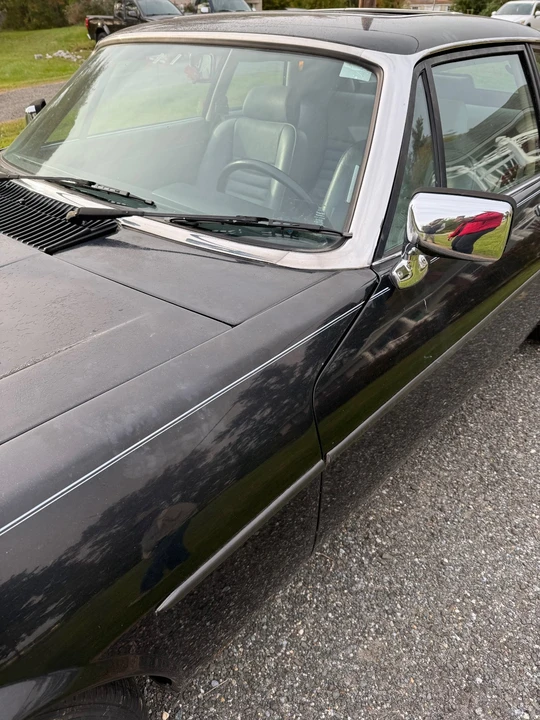 1986 Jaguar XJS - Image 8 of 20