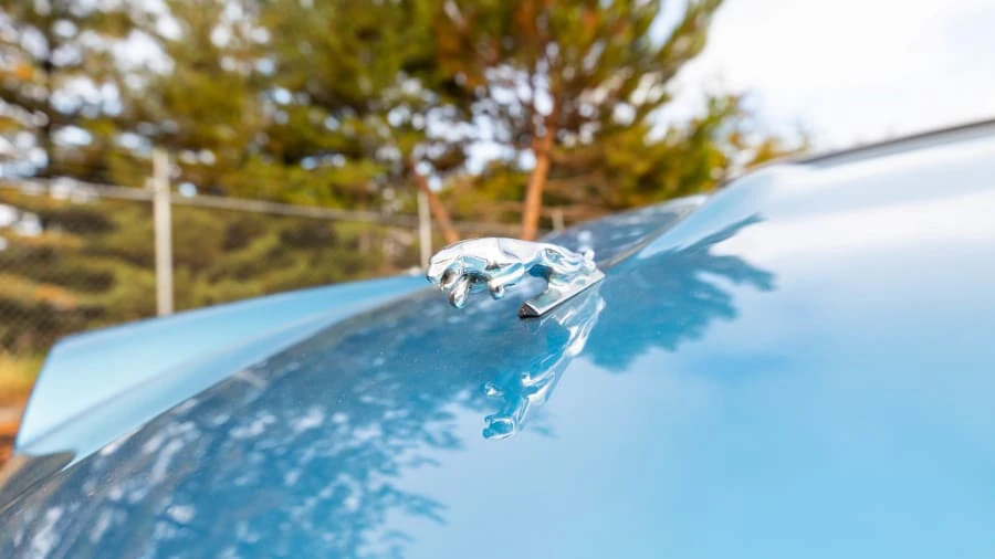 1986 Jaguar XJS - Image 9 of 17