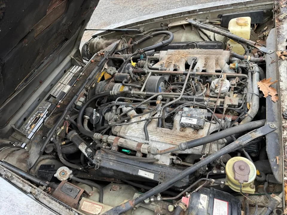 1986 Jaguar XJS Pre-Facelift V12 - Image 10 of 12
