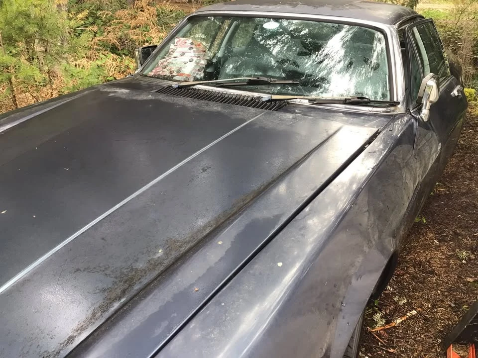 1986 Jaguar XJS - Image 2 of 5