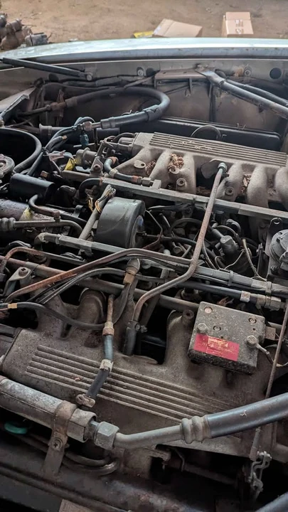 1986 Jaguar XJS Pre-Facelift V12 - Image 6 of 8