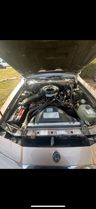 1986 Mercury Cougar 4th+ Gen - Image 4 of 10