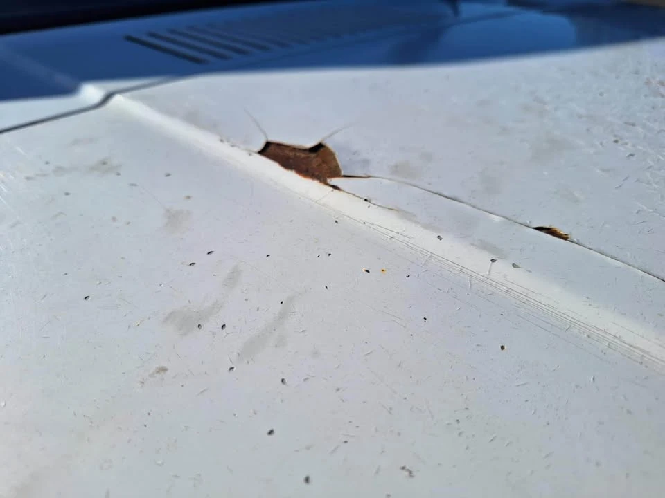1986 Mitsubishi Lancer 2nd Gen - Image 7 of 12