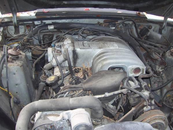 1986 Ford Mustang GT 3rd Gen - Image 3 of 3
