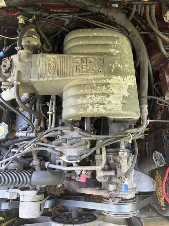 1986 Ford Mustang GT 3rd Gen - Image 7 of 8