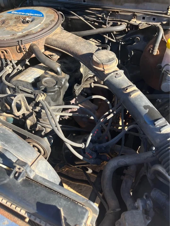 1986 Nissan Frontier - Image 13 of 13