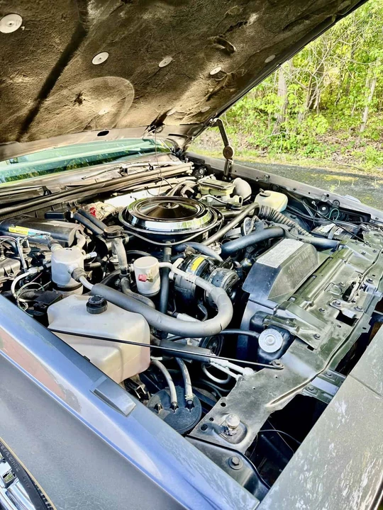 1986 Oldsmobile 442 4th Gen - Image 19 of 25