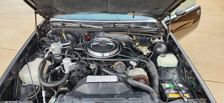 1986 Oldsmobile 442 4th Gen - Image 21 of 25