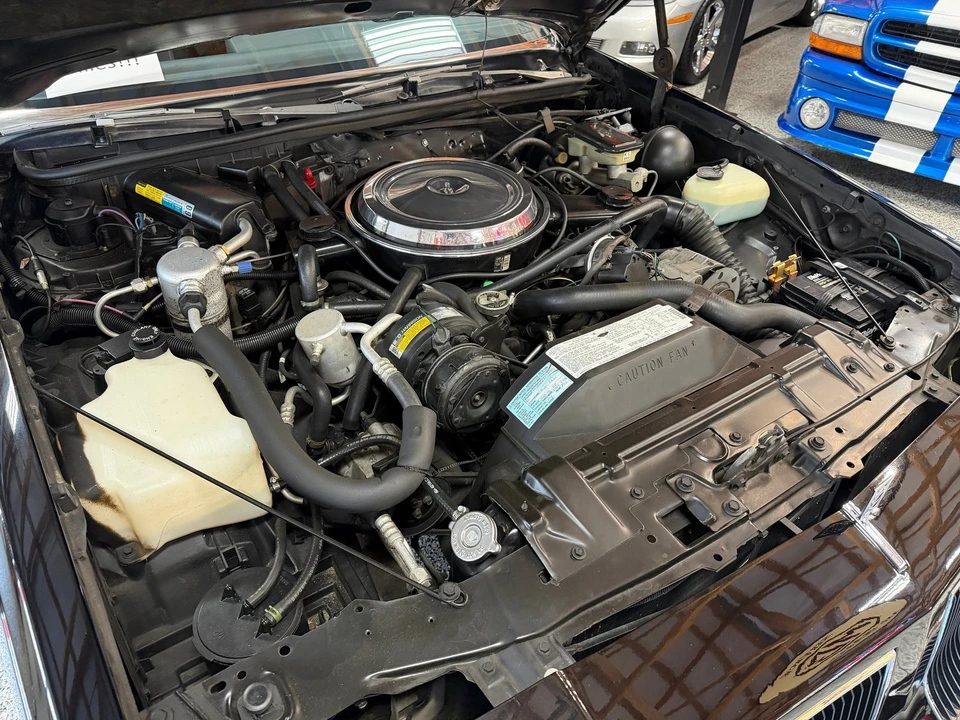 1986 Oldsmobile 442 4th Gen - Image 19 of 21