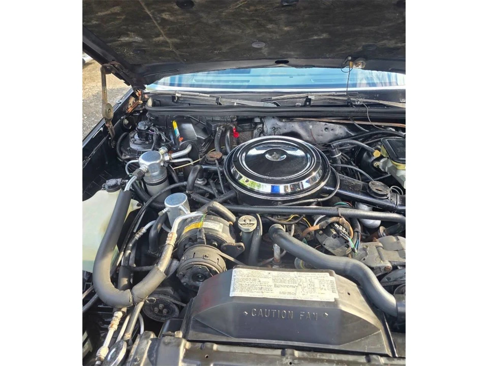 1986 Oldsmobile Cutlass 5th Gen - Image 10 of 12