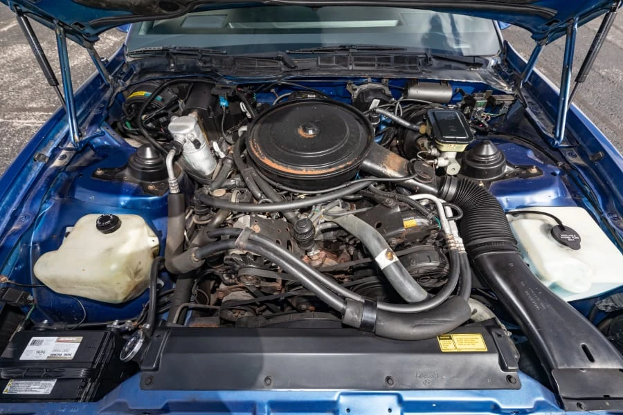 1986 Pontiac Firebird 3rd Gen - Image 31 of 31