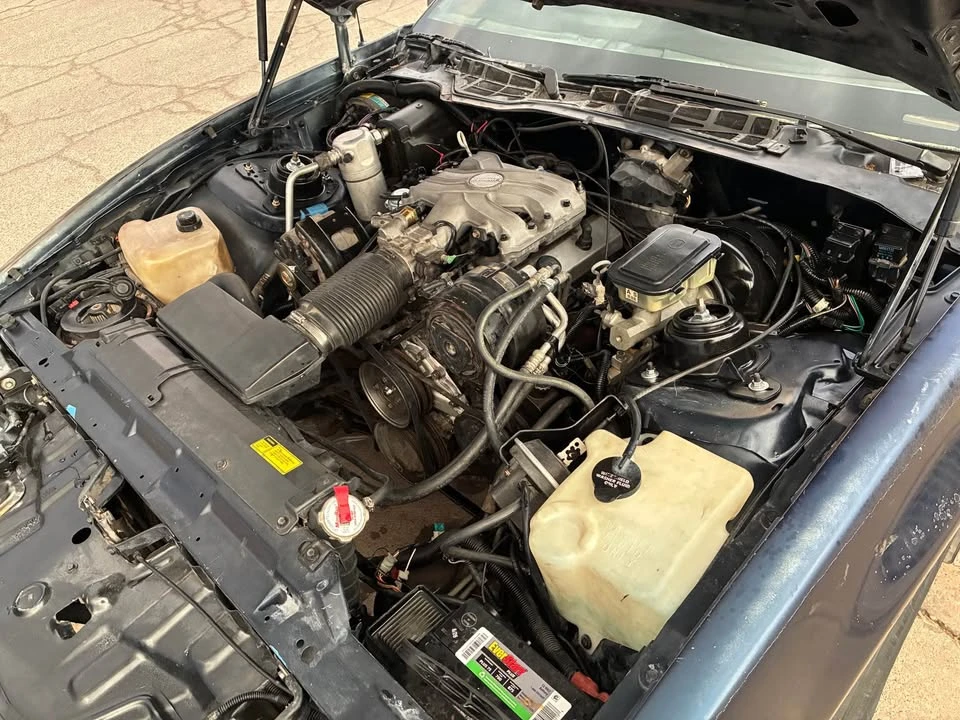 1986 Pontiac Firebird 3rd Gen - Image 3 of 15