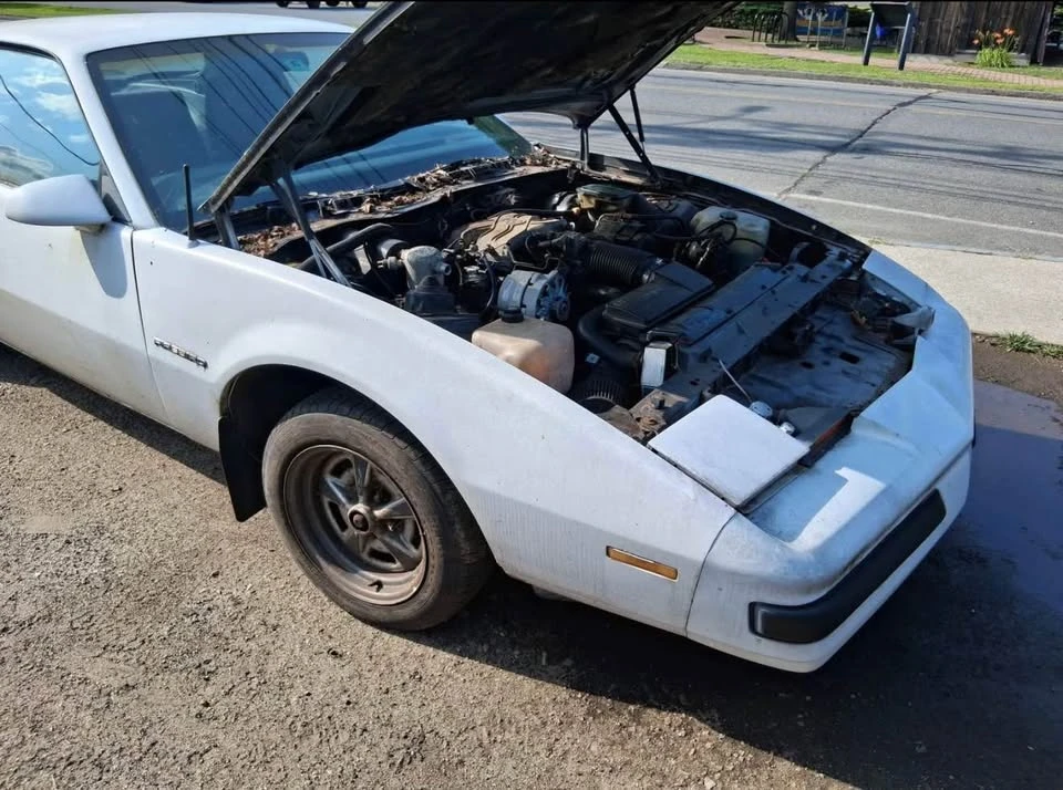 1986 Pontiac Firebird 3rd Gen - Image 6 of 8