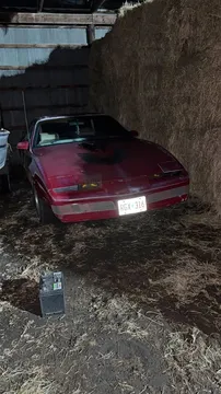 1986 Pontiac Firebird Coupe 2D