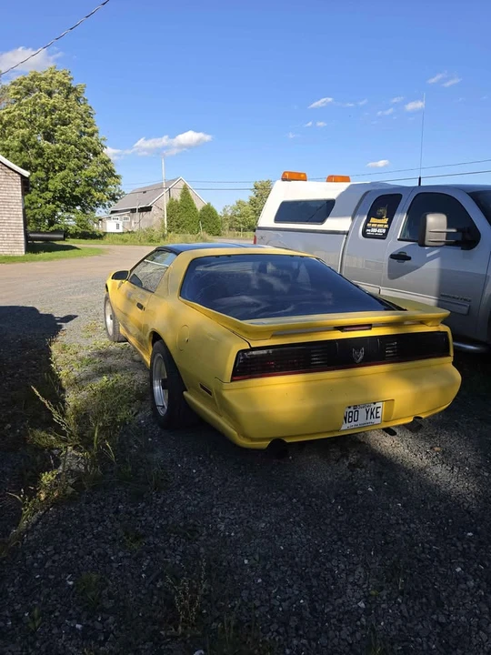 1986 Pontiac Firebird 3rd Gen - Image 4 of 12