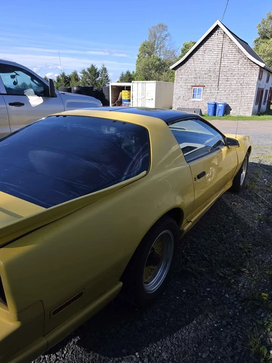 1986 Pontiac Firebird 3rd Gen - Image 5 of 12