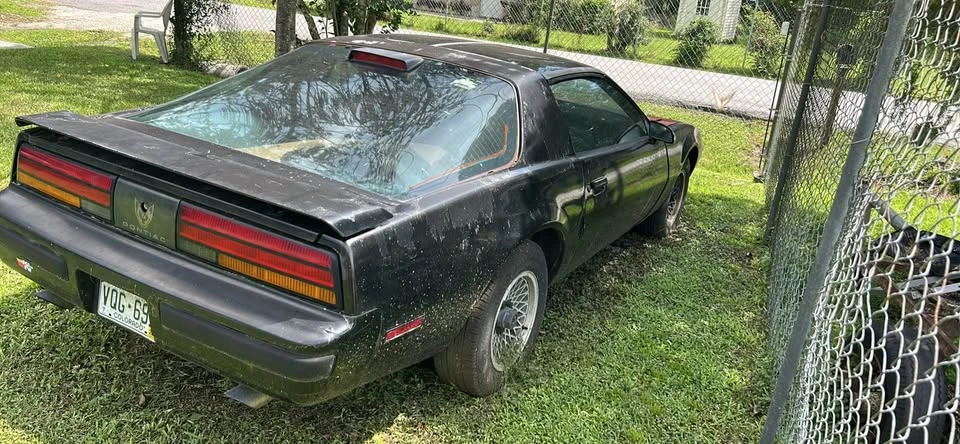 1986 Pontiac Firebird 3rd Gen - Image 3 of 4