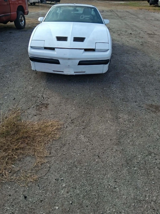 1986 Pontiac Firebird 3rd Gen - Image 8 of 9