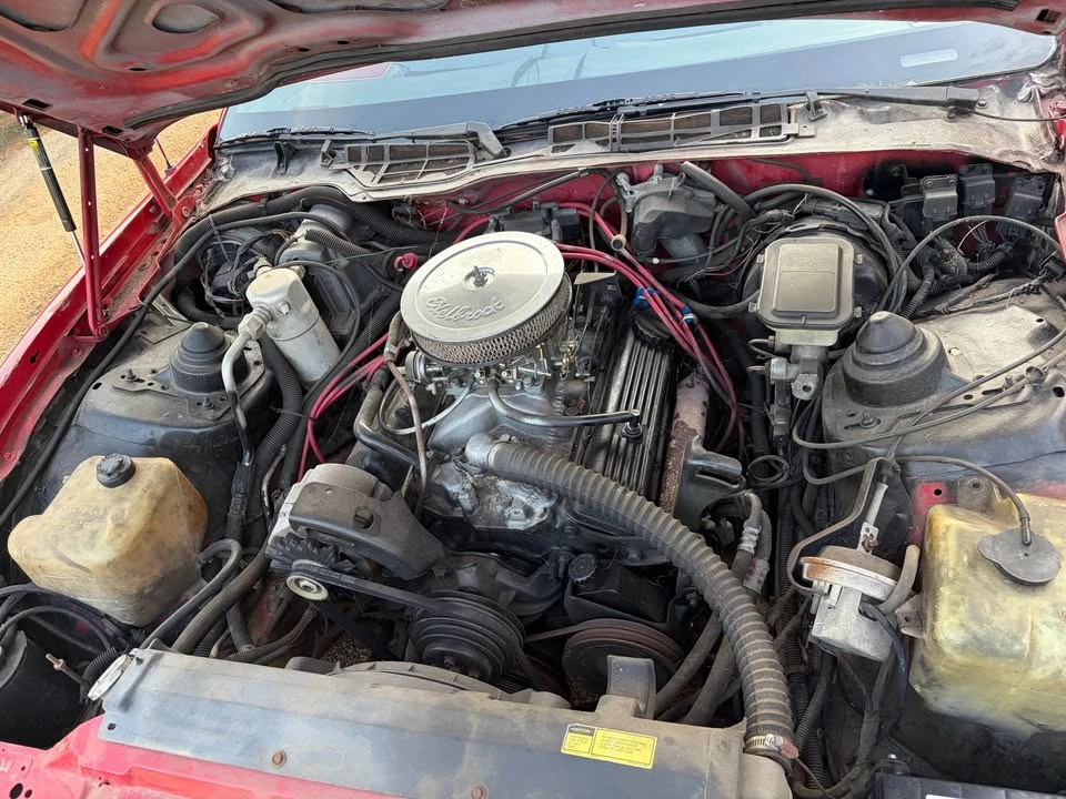 1986 Pontiac Firebird Trans Am 3rd Gen - Image 10 of 12