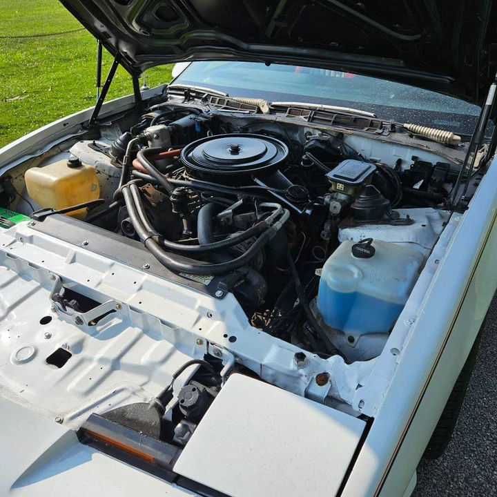 1986 Pontiac Firebird Trans Am 3rd Gen - Image 12 of 19