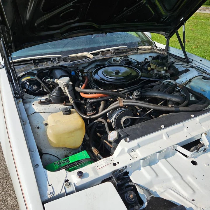 1986 Pontiac Firebird Trans Am 3rd Gen - Image 11 of 19
